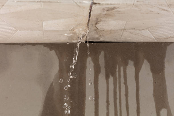 Professional Water Damage Repair technician working in Zebulon, NC
